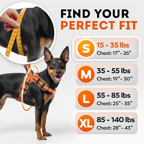 Dog Harness for Small Dogs Back D-Ring Control No Choking Pressure-Free Chest Design Comfortable Padded Adjustable Reflect...