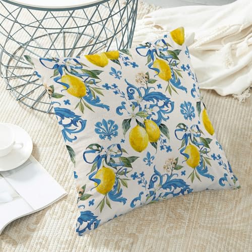Summer Pillow Covers 18x18 Inch Set of 2 Boho Blue Yellow Lemon Floral Throw Pillows Outdoor Decorative Seasonal Spring Su...