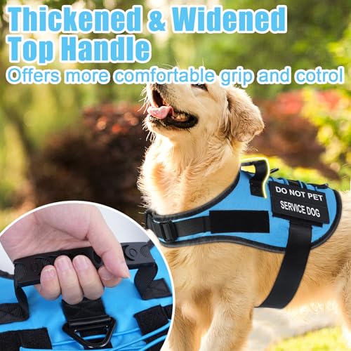 No Pull Dog Harness Small Medium Sized Dog, Service Dog Harness and Leash Set with 4 Patches, Adjustable Easy Walk Dogs Ha...