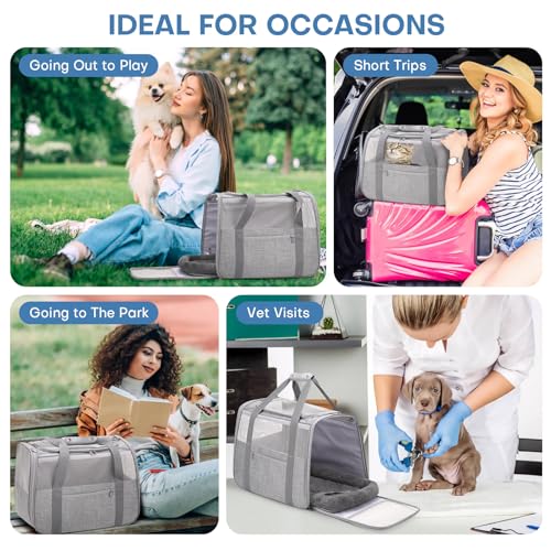 JUNGYOUN Premium Cat Carrier - Pet Carrier for Cat & Small Dogs up to 15lbs - Airline Approved Travel Dog Carrier with ...