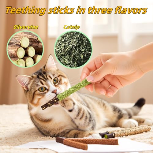 GREMBEB Cat Toys 12PCS Catnip Toy for Indoor Kitten Toys Cat Chew Stick for Dental Cleaning Teeth Cat Silvervine Matatabi ...