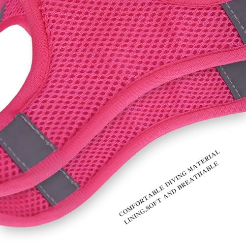 Step in Dog Harness and Leash Set, Flower Adjustable Easy Walk Puppy Harnesses, Soft Mesh Pet Vest Harness Small Size Dog ...