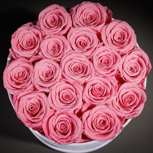 Prifroti 17 Flowers in a Luxury Suede Box, Birthday Gifts for Women, Preserved Flowers, Mothers Day Roses Gift for Mom, Li...