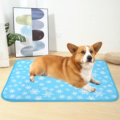 DELIFUR Dog Cooling Mat - Pet Cooling Mat Outdoor for Dogs Self Cooling Pad for Puppy Small Medium Dog Machine Washable (L...
