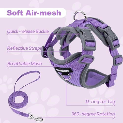 HIMNESEYO Small Dog Harness and Leash Set，No Pull Adjustable Pet Harness for Small Dogs ，Breathable Mesh Reflective Dog Ve...