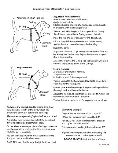 LupinePet Originals 1/2" Jelly Roll 9-14" Adjustable Roman Dog Harness for Extra Small Dogs