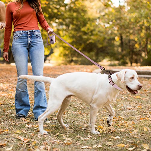 Wisedog Waterproof Dog Collar and Leash Set, Adjustable Puppy Collar with Cute Tag 5FT Dog Leash with Poop Bag for Small M...