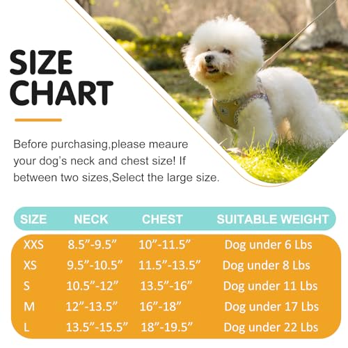 TomteNisse Dog Harness and Leash Set, No Pull Pet Harness for Small Dogs Easy Walking,Soft Breathable Small Dog Harness,Ad...