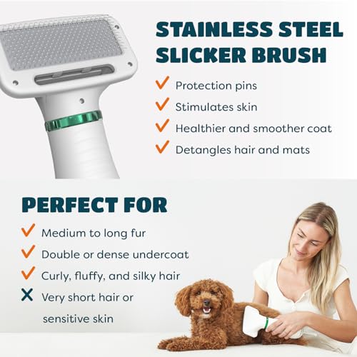 2-in-1 Dog Dryer with Slicker Brush for Small Dogs and Cats, Pet Hair Dryer, Dog Blow Dryer for Grooming with 300 Watts, 7...