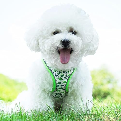 XS Dog Harness and Leash Set, Step in Dog Harness No Pull for Walking Running Training, Puppy Essentials for Dogs Cat Bunn...