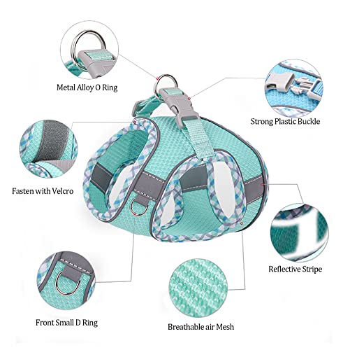 BTDCFY Step in Mesh Dog Harness and Leash Set - Breathable Air Mesh Reflective Escape Proof Dog Harness Vest - No Choke, L...