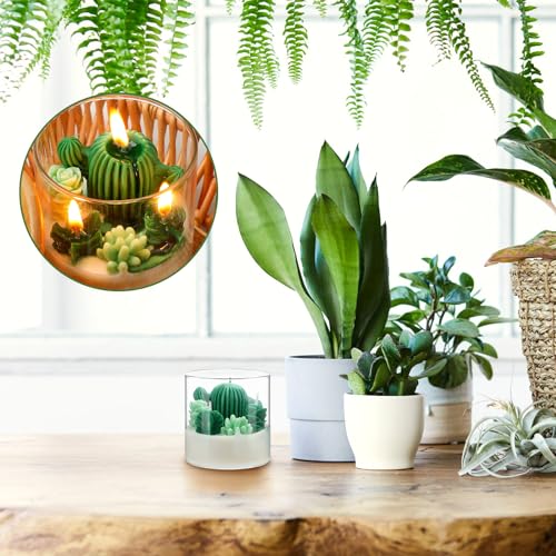 Tondiamo Succulent Cactus Candles Gift,3.15 Inch Scented Decorative Terrarium Plant Candles Votive for House Warming Weddi...