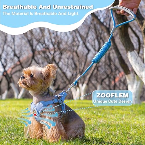 ZOOFLEM Dog Harness with Leash Set, Puppy Soft Vest No Choke No Pull, Adjustable Neck and Chest, Lightweight Harness and A...