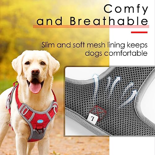 ThinkPet No Pull Harness Set Breathable Sport Harness with Handle - Reflective Padded Dog Safety Vest with Reflective Neon...