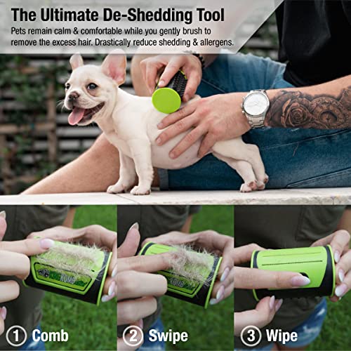 King Kanine Mini King Komb Pet Grooming Brush, Self Cleaning Deshedding | Multi-Use Tool for Cats & Kittens of All Life St...