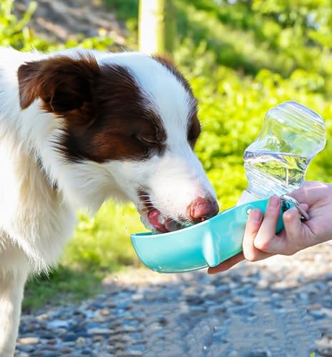Foldable Pet Water Bottle for Travel, 2 in 1 Portable Dog Water Bottle, Travel Dog Bowls with Food Container, Leak-Proof &...