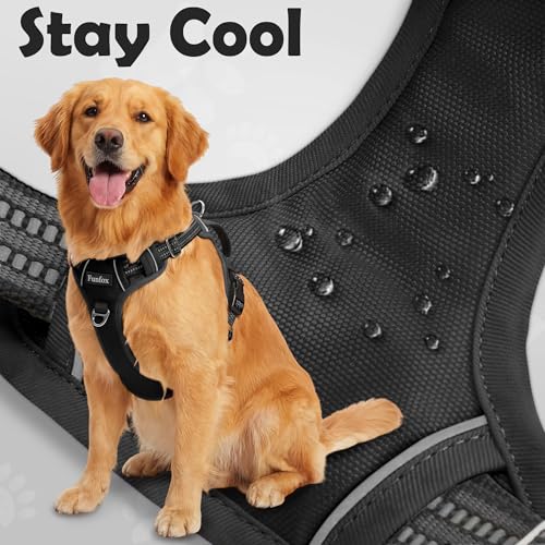 Funfox Dog Harness Medium Sized Dog, Vertical Handle Easy Control, No Pull Pet Vest Adjustable with 2 Leash Clips, Soft Ma...