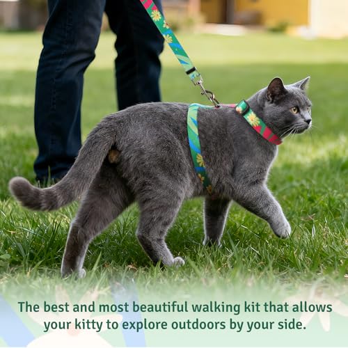 Cat Harness and Leash Set, Anti Escape Adjustable Cat Leash, Comfortable Soft Lightweight, Use Safe & Easy, Suitable for S...