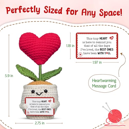 OASSIE Anniversary Couple Gifts for Women Men - Heart Flower Pot Crochet - Romantic Anniversary Wedding Mothers Day Birthd...