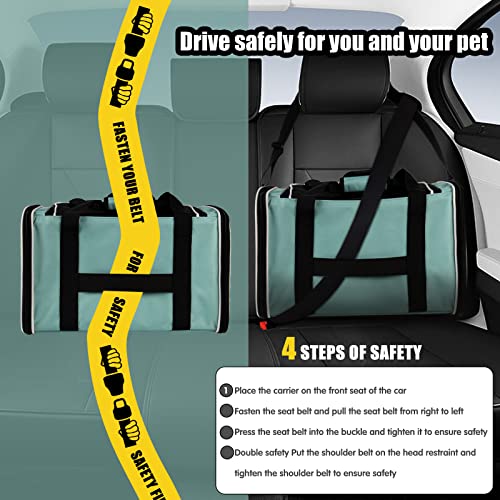Cat Carrying Case Pet Dog Carrier Soft-Sided Cat Bag Airline Approved, Pet Travel Carrier Up to 15 Lbs, Collapsible Cats C...