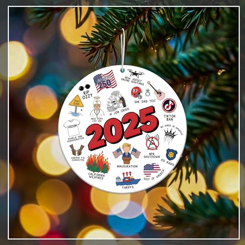2025 Year in Review Christmas Ornament – Double-Sided Acrylic Dated Ornament, Trending 2025 Keepsake Gift, Funny Hot Topic...