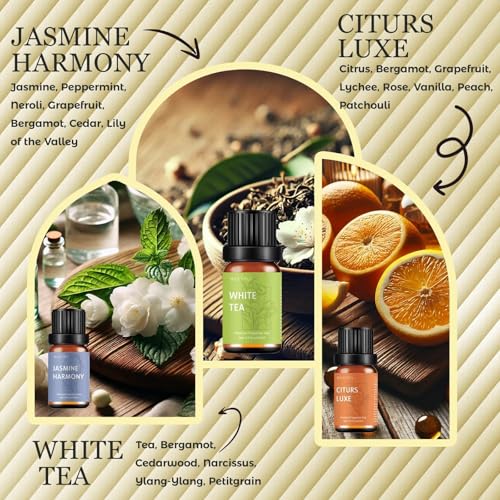 Waterless Rechargeable Scent Diffuser – Hotel Collection Diffuser Set with 6 Hotel Essential Oils – Two Intensity Modes – ...