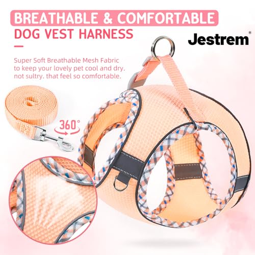 XXS Cat Harness and Leash Set - Breathable Mesh Vest with Reflective Strips, Escape-Proof Harness with No-Choke Design Sec...