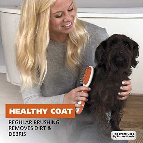 Wahl Premium Pet Double Sided Medium Pin Bristle Brush, Ergonomic Brush with Ergonomic Rubber Grips for Comfortable Brushi...
