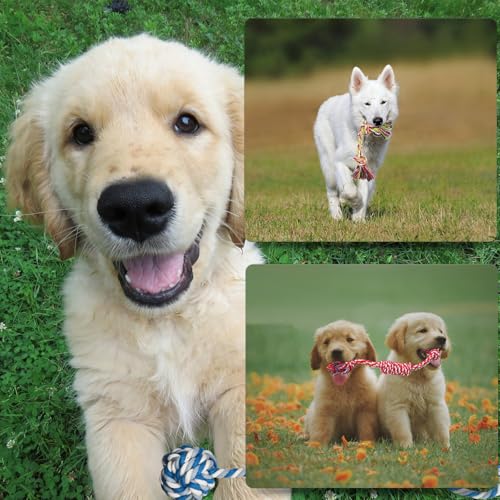 Jastorfer 16 Pcs Small Dog Rope Toys, Puppy Tug of War Toy Set for Small Breeds 0-15 Lbs, Cotton Dog Tug Toys for Boredom,...