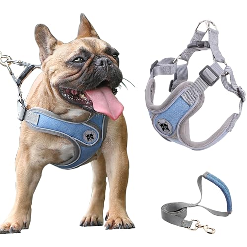Medium Dog Harness and Leash Set,No Pull Adjustable Step in Soft Mesh Vest Harness,Easy Walk Reflective Pet Harness with P...