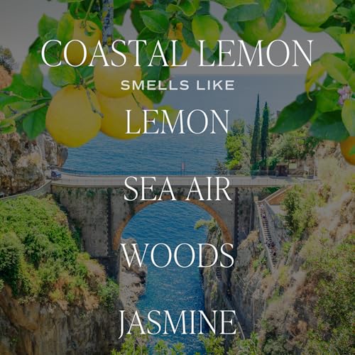 Sweet Water Decor Coastal Lemon Clear Reed Diffuser – Room Decor Aesthetic with Long-Lasting Premium Fragrance of Lemon, S...