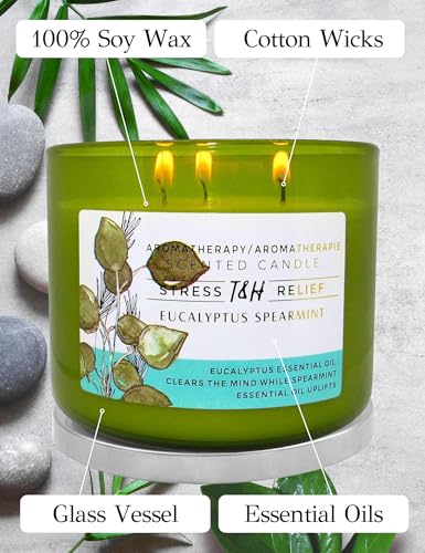 Eucalyptus Spearmint Scented Candle | 15.8 oz Large 3 Wick Soy Candle | Soothing Aromatherapy Candle for Home | Fresh Spa ...