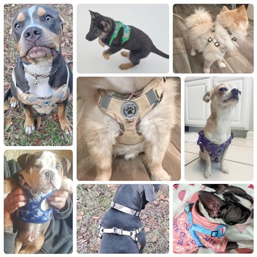BEAUTYZOO Step in Dog Harness Collar and Leash Set for Small Medium Large Dogs, No Pull No Choke Puppy Harness, Soft Mesh ...