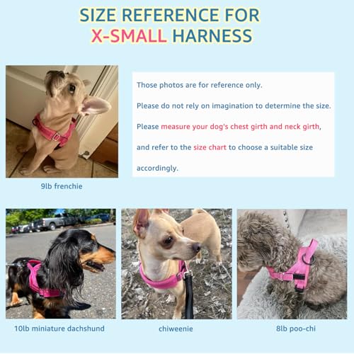 SlowTon No Pull Small Dog Harness and Leash Set, Puppy Soft Vest Harness Neck & Chest Adjustable, Reflective Lightweight H...