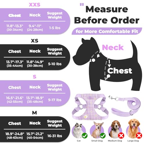 PETCARE Cute Small Dog Harness and Leash Set Purple Floral Daisy Puppy Harness Vest Adjustable Step in Spring Summer Soft ...