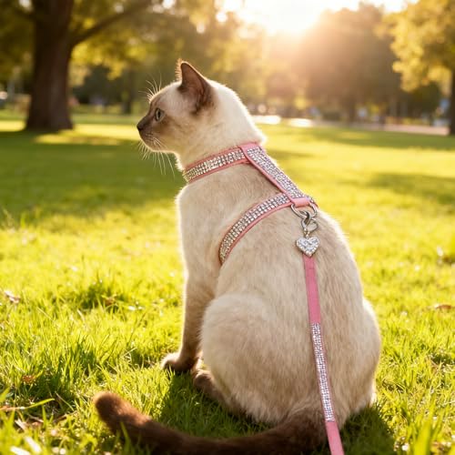 EXPAWLORER Cat Harness and Leash Set - Escape Proof Adjustable Cat Harness, H-shped Comfortable Soft Lightweight Kitten Ha...