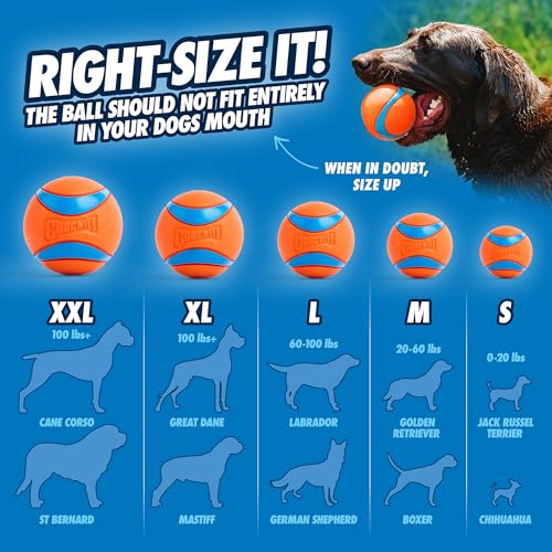 Chuckit! Ultra Ball Dog Toy - Medium Bouncy Fetch Balls For Dogs 20-60 lbs - Made from Durable Rubber - Floating Water Pet...