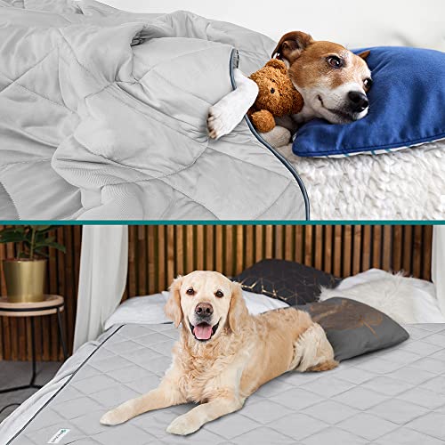 PetAmi Premium Cooling Dog Blanket | Lightweight Fluffy Pet Throw Blanket Bed Cover for Dogs, Cat, Puppies | Pet Blanket F...