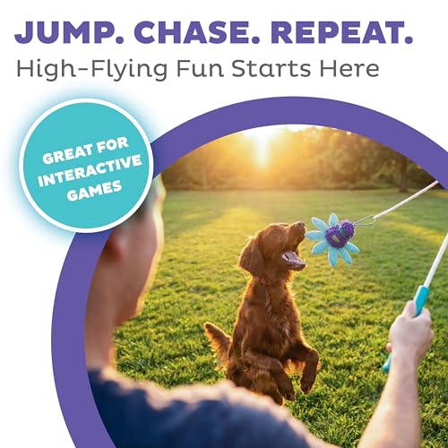 Outward Hound FlyFetch Teaser Wand Dog Toy with Crinkle Attachment, Durable for Indoor & Outdoor Play, All Breeds, 17.7"