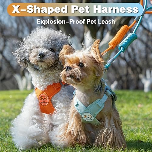 ZOOFLEM Dog Harness with Leash Set, Puppy Soft Vest No Choke No Pull, Adjustable Neck and Chest, Lightweight Harness and A...