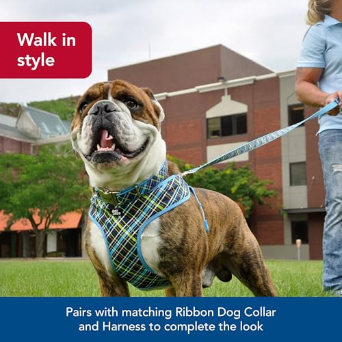 Coastal Pet Ribbon Dog Leash - Contemporary Stylish Look - Durable Fade-Resistant Nylon Material - Perfect for Dogs Brown ...