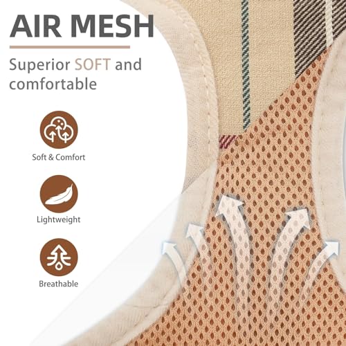 PUPTECK Soft Mesh Dog Harness and Leash Set Step-in Plaid Puppy Padded No Pull Vest Harness for XS Small Sized Dogs Cats O...