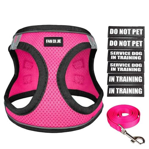 Service Dog Harness Vest Set Emotional Support Small Size Dog- 6PCS Removable Patches -Mesh Puppy Harness and Leash Set Tr...