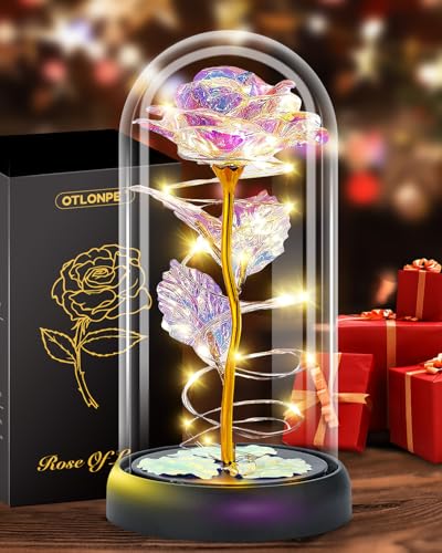 Otlonpe Mothers Day Flowers Gifts for Mom from Daughter Son, Preserved Forever Glass Light Up Rose Gifts for Grandma Wife ...