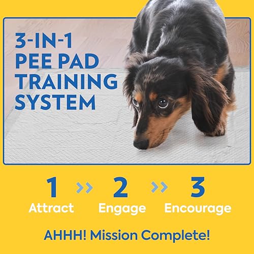 OUT! Petcare Puppy Pads XXL, Heavy Duty, Leak Proof Pee Pads for Dogs, Potty Training & Housebreaking, Puppy Essentials (2...