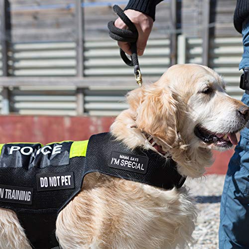 10 Pieces Service Dog Patches Ask to Do Not Pet Patch Vest Removable Tactical Pet in Training Hook and Loop Harness Americ...