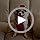 Layheld Cat Puppy Costume Sun Hat Leash Vest Harness 3pcs Set Cute Plaid Pattern Cartoon Plush Decor Pet Accessories for C...