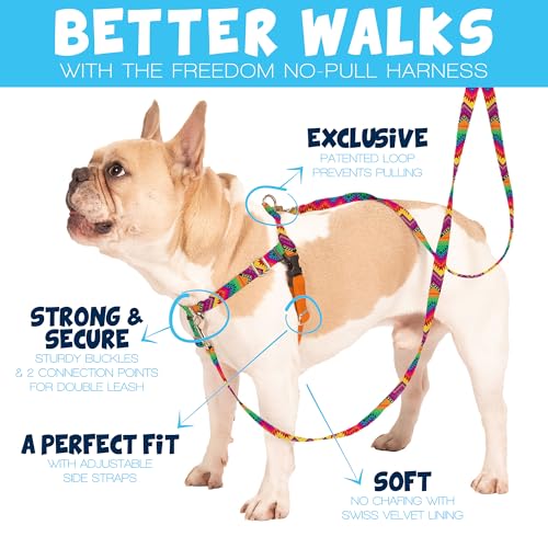 2 Hounds Design Freedom No Pull Dog Harness, Adjustable Harness, Easy Walking & Comfortable Control, Fits Small, Medium & ...