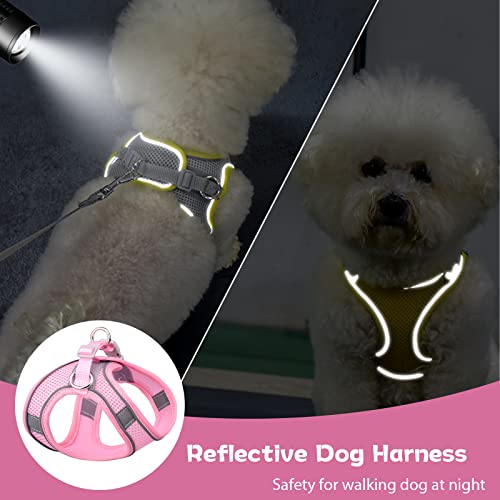 PETPUBGNZS Soft Small Dog Harness and Leash Set Mesh Puppy Harnesses Leash Easy Walk Dog Harness Vest Adjustable Reflectiv...