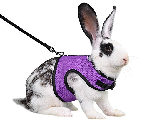 Niteangel Adjustable Soft Harness with Elastic Leash for Rabbits (XL, Purple)